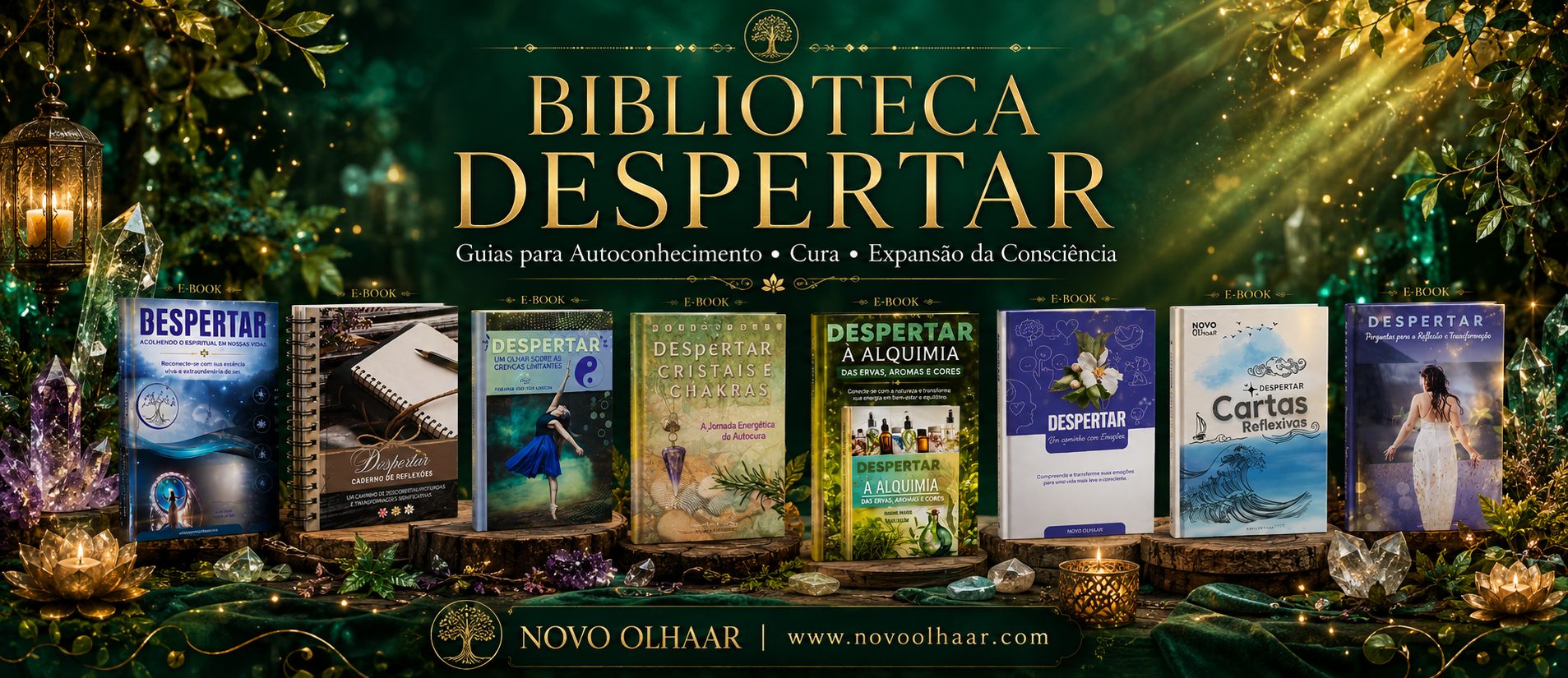 Biblioteca Despertar